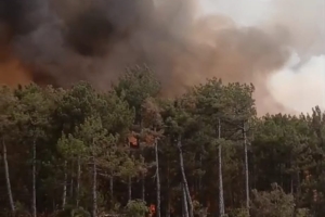 Güç Birliği: UTAK, GAME ve STK’lar Sahada Omuz Omuza Bursa Harmancık Yangın Bölgesinde Büyük Dayanışma