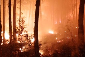 Güç Birliği: UTAK, GAME ve STK’lar Sahada!